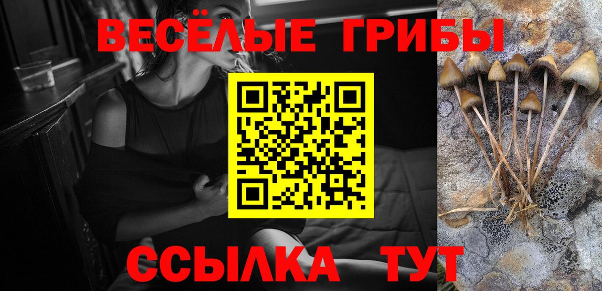 Псилоцибиновые грибы Psilocybine cubensis  Вход с VPN  Сертолово  Галлюциногенные грибы GOLDEN TEACHER 